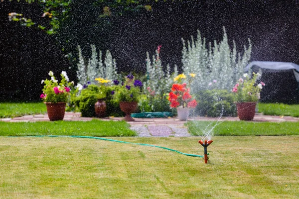 Gartenregner, der Gras und Blumen gießt — Stockfoto