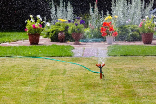 Aspersor de jardim rega grama e flores — Fotografia de Stock