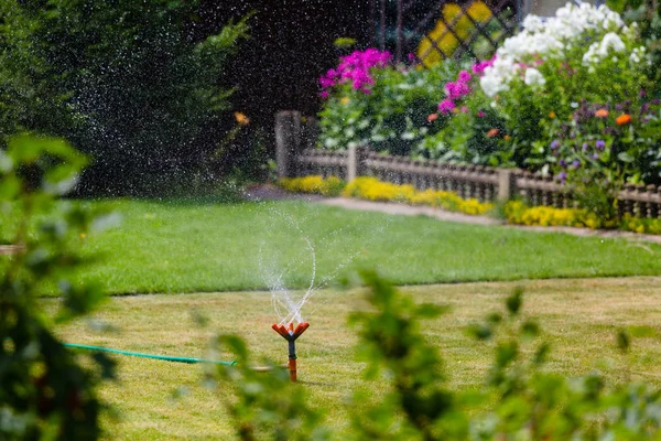 Gartenregner, der Gras und Blumen gießt — Stockfoto