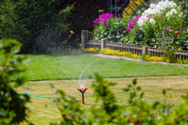 Gartenregner, der Gras und Blumen gießt — Stockfoto