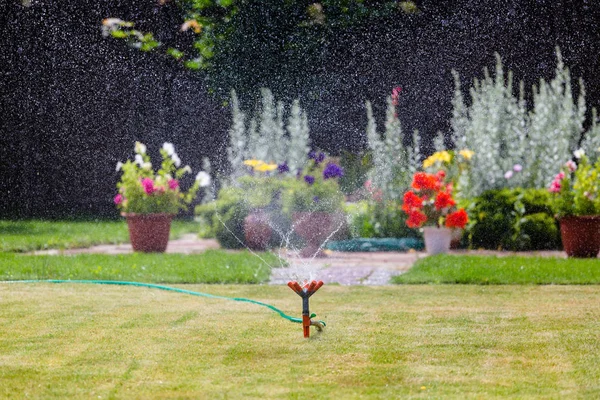 Irrigatore giardino irrigazione erba e fiori — Foto Stock