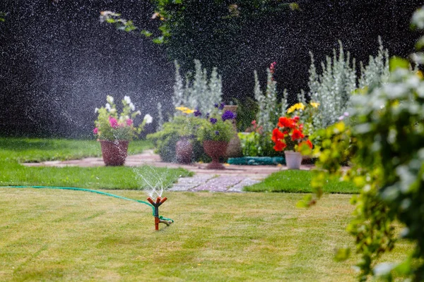 Aspersor de jardín regando hierba y flores —  Fotos de Stock