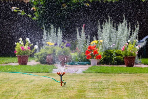 Aspersor de jardín regando hierba y flores — Foto de Stock