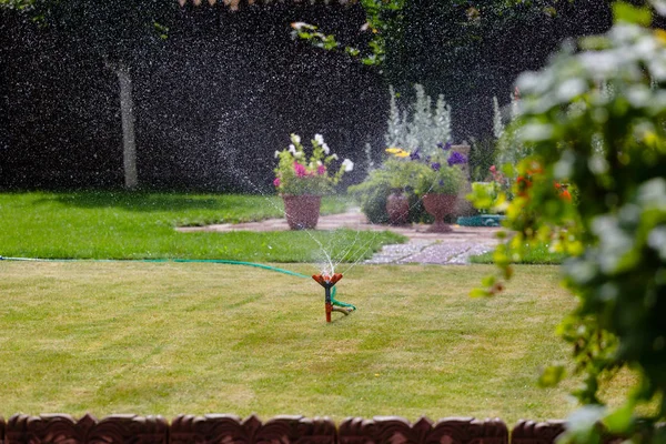 Aspersor de jardín regando hierba y flores — Foto de Stock