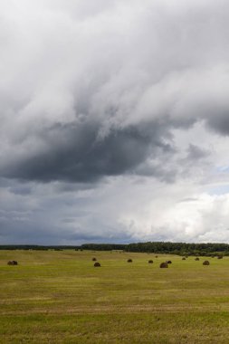 bir alandaki saman balya