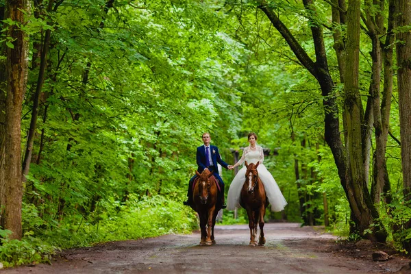 Schönes Brautpaar auf zwei Pferden — Stockfoto