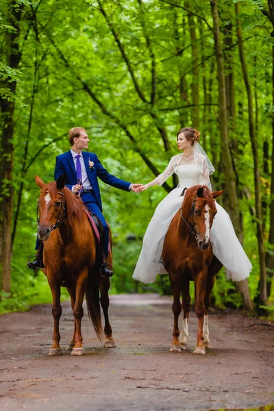 Belos recém-casados montando dois cavalos — Fotografia de Stock