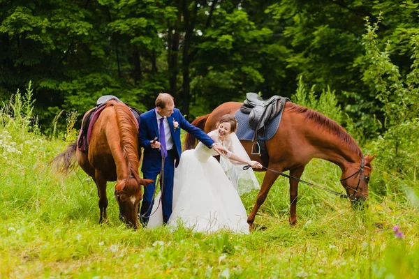 Belos recém-casados com dois cavalos — Fotografia de Stock