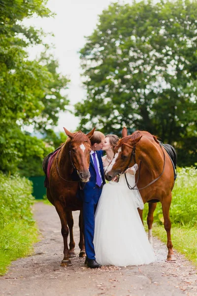 Belos recém-casados com dois cavalos — Fotografia de Stock