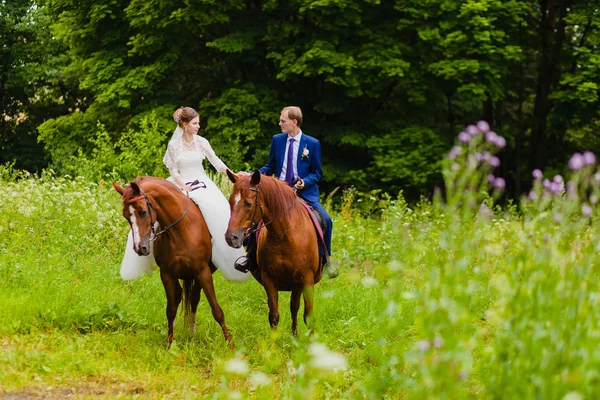 Beaux jeunes mariés chevauchant deux chevaux — Photo