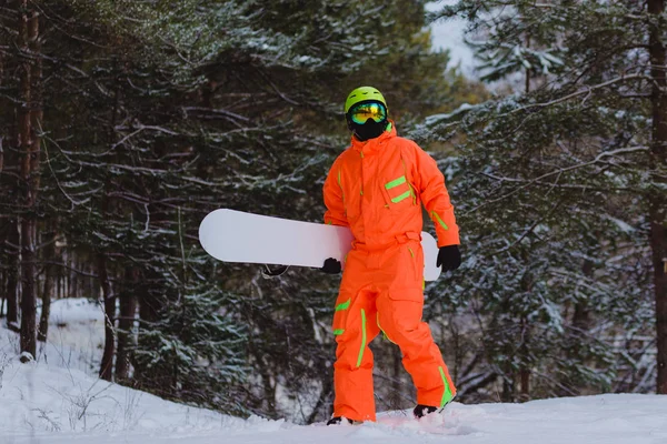 Сноубордист, що йде лісом — стокове фото