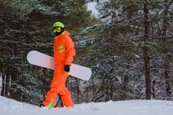 Snowboarder wandelen door het bos — Stockfoto