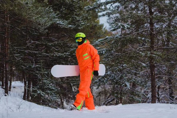 Snowboarder wandelen door het bos — Stockfoto