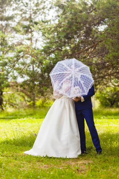 Bella coppia di sposi con l'ombrello bianco — Foto Stock