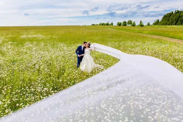 Newlyweds met zeer lange bruids sluier — Stockfoto