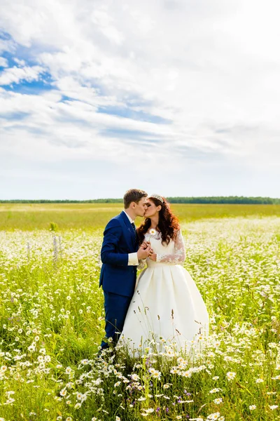 Casal recém-casados em um campo de camomila — Fotografia de Stock