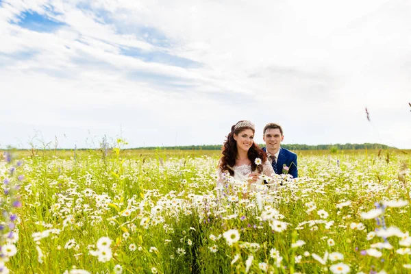 Couple jeunes mariés dans un champ de camomille — Photo