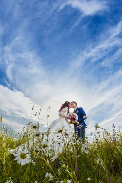Casal recém-casados em um campo de camomila — Fotografia de Stock