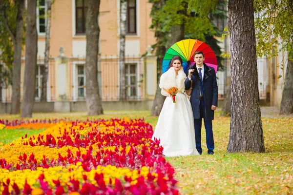 Jeunes mariés dans le parc avec un grand parapluie — Photo