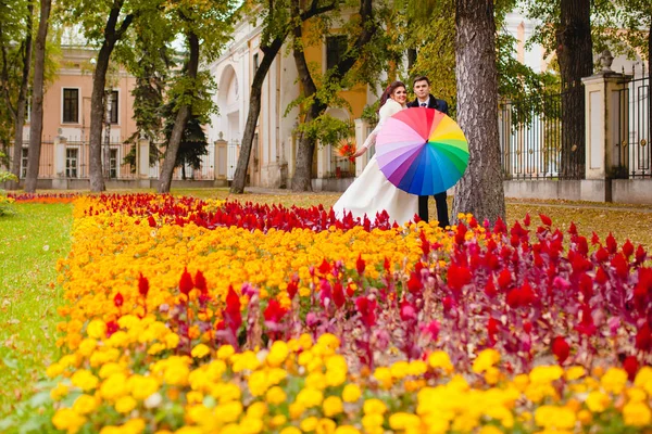 Nowożeńcy w parku z duży parasol — Zdjęcie stockowe