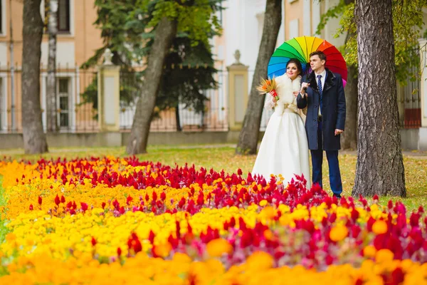 Jeunes mariés dans le parc avec un grand parapluie — Photo