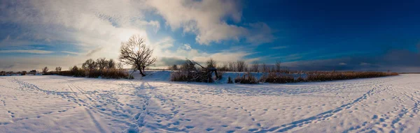 Weites Panorama der wunderschönen Winterlandschaft — Stockfoto