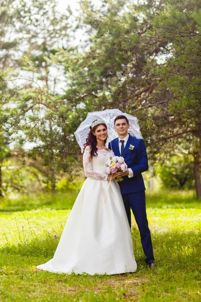 Beau couple de jeunes mariés avec le parapluie blanc — Photo