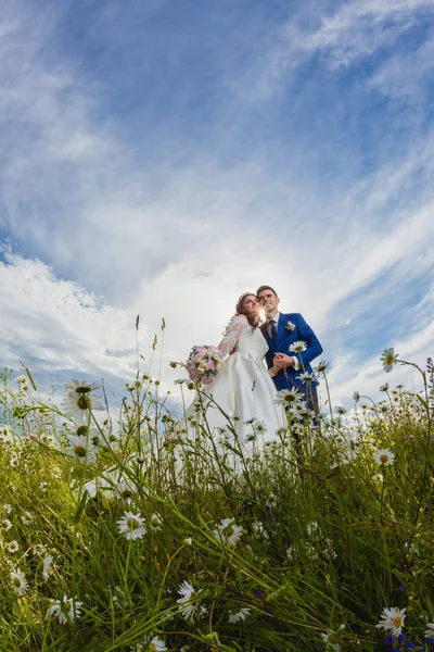 Couple jeunes mariés dans un champ de camomille — Photo