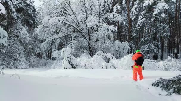 Fotografen att göra ett foto av vintern snöiga skogen. — Stockvideo
