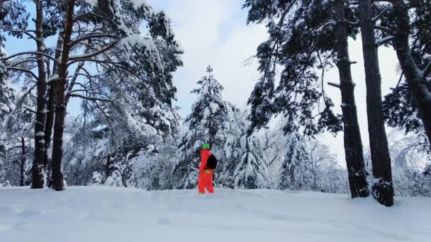 Hombre con cámara haciendo una foto de invierno bosque nevado . — Vídeos de Stock