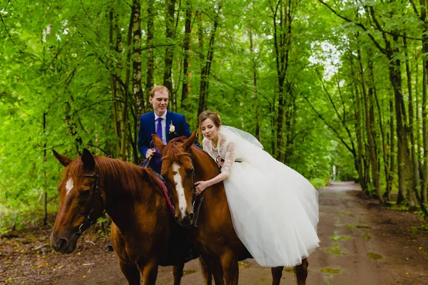 Belos recém-casados montando dois cavalos — Fotografia de Stock