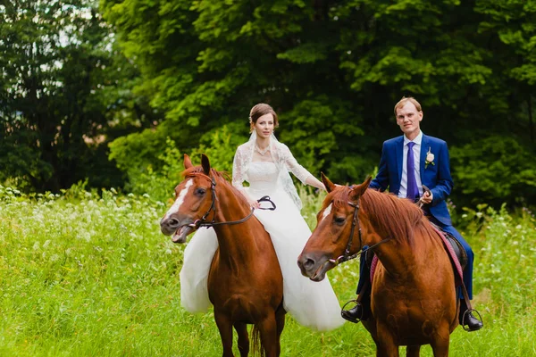 Belos recém-casados montando dois cavalos — Fotografia de Stock