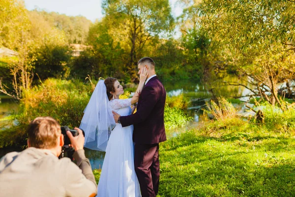 夏の公園での結婚式写真撮影 — ストック写真