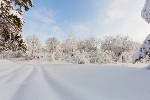 Beautiful winter landscape at the morning — Stock Photo, Image