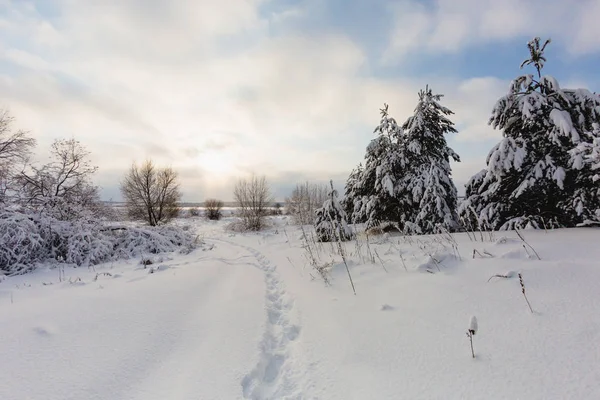 Beautiful winter landscape at the morning — Stock Photo, Image