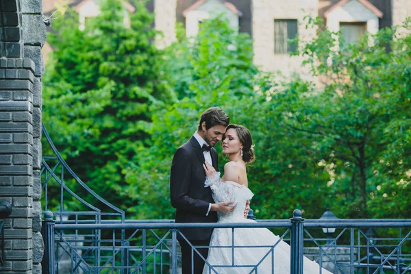 Couple de jeunes mariés élégants posant sur un petit pont — Photo