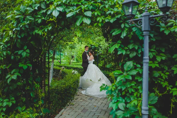 Couple de jeunes mariés élégants posant sur l'allée verte — Photo
