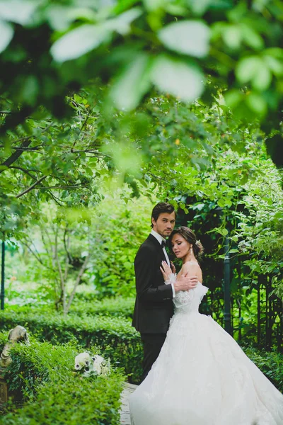 Casal de recém-casados elegantes posando no beco verde — Fotografia de Stock