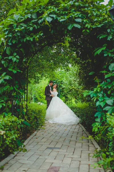 Casal de recém-casados elegantes posando no beco verde — Fotografia de Stock