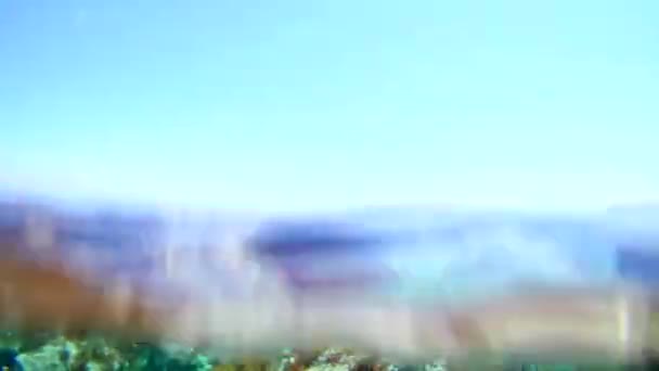 澄んだ海の水と地中海の風景を通して水中の景色 — ストック動画