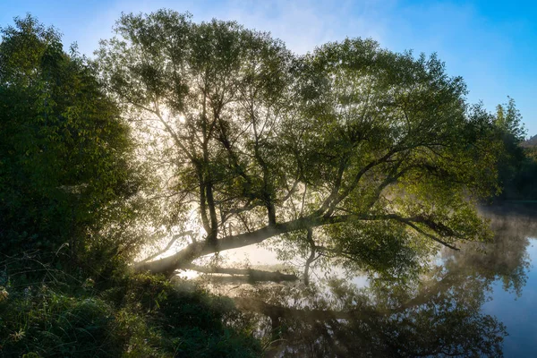 Fantastyczne mglisty rzeki z zielonej trawy i ładne odbicie w słońcu — Zdjęcie stockowe