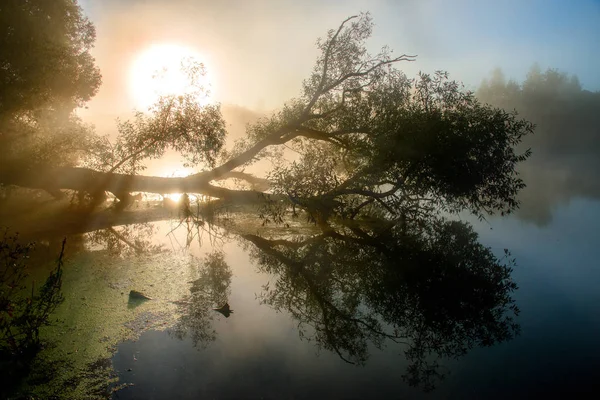 Fantástico río brumoso con agradable reflejo y rayos de luz a la luz del sol — Foto de Stock