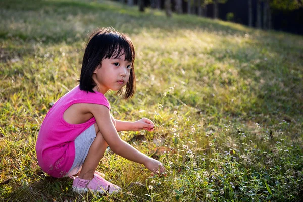 Gelukkig Aziatische Chinees meisje wilde bloemen plukken — Stockfoto