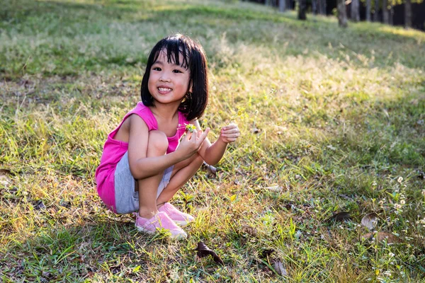 Menina chinesa asiática feliz que escolhe flores selvagens — Fotografia de Stock