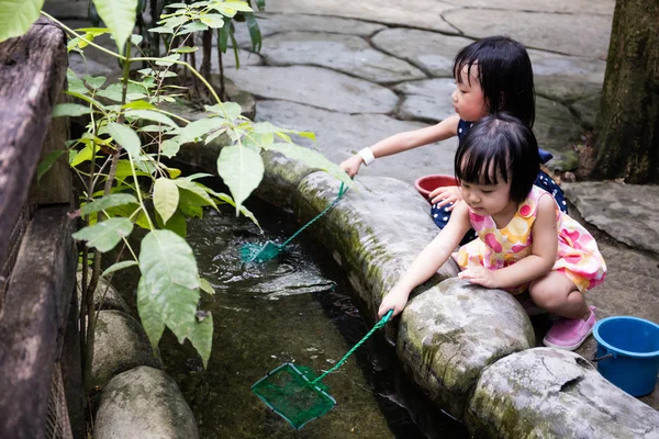 Asiatiska kinesiska små flickor fiske med Scoop Net på Pond — Stockfoto