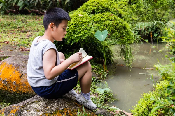 Asiatico cinese bambino lettura libro in il parco — Foto Stock