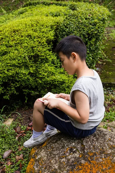 Asiatisch chinesisch kleine junge lesen buch im die park — Stockfoto