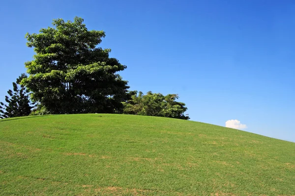 The View of Golf field — Stock Photo, Image