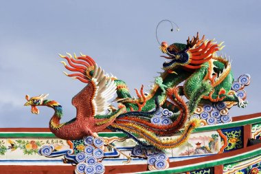 Dragon ve phoenix