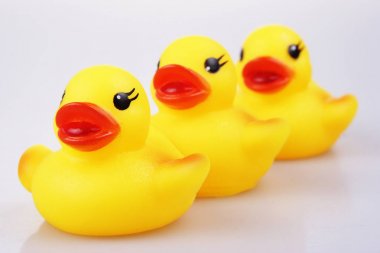 Lastik ördek yakın çekim